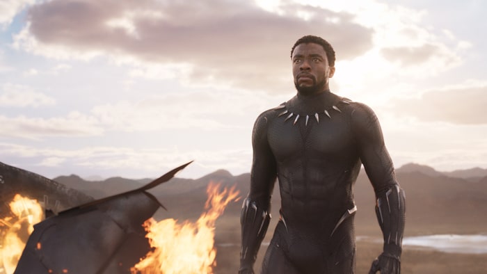 Black Panther movie image